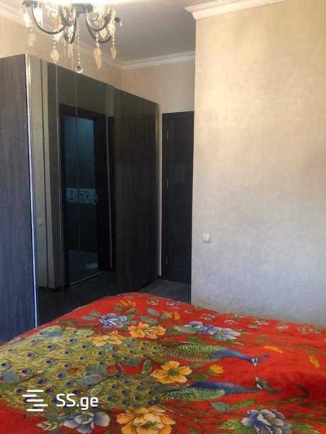 https://static.ss.ge/20250918/19_44f41092-4aad-45da-9354-9a1b773055e5_Thumb.jpg