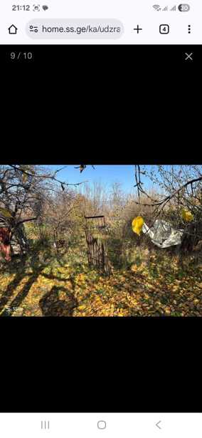 https://static.ss.ge/20250918/2_b0bf0c2b-351a-4684-8f00-6bbc717f52da_Thumb.jpg