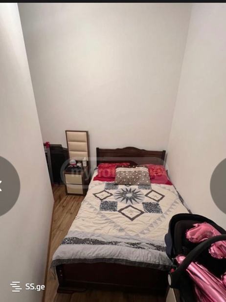 https://static.ss.ge/20250918/8_9e416baf-931d-4b00-8bfc-51e1436f8320_Thumb.jpg