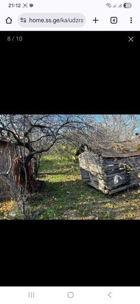 https://static.ss.ge/20250918/8_cec25a19-d4e2-48b5-90d9-5f411cfa20a9_Thumb.jpg