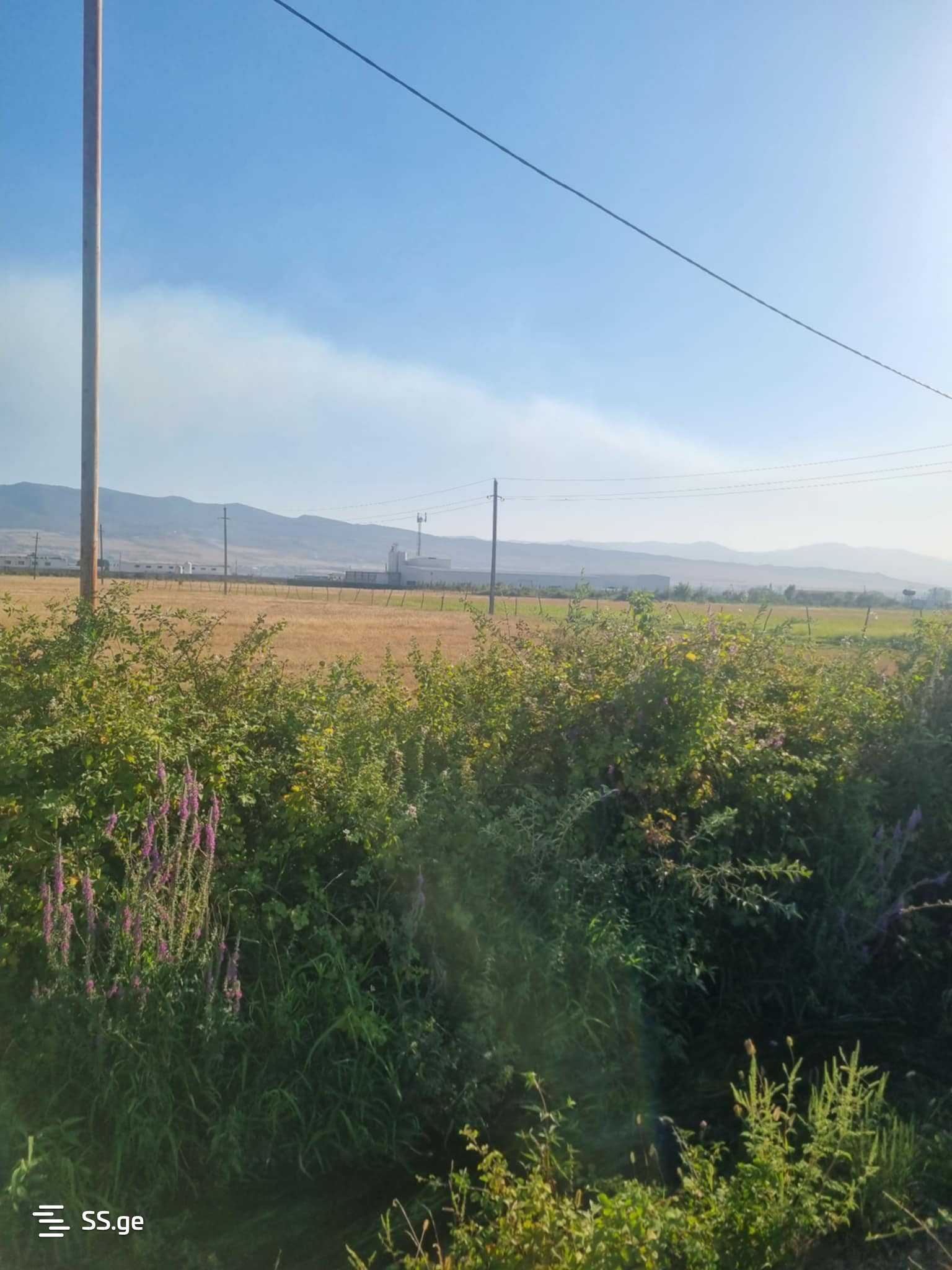 Land For Sale. Natakhtari view 5