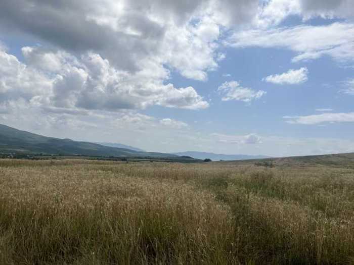 Land For Sale. Kvemo Shuakhevi
