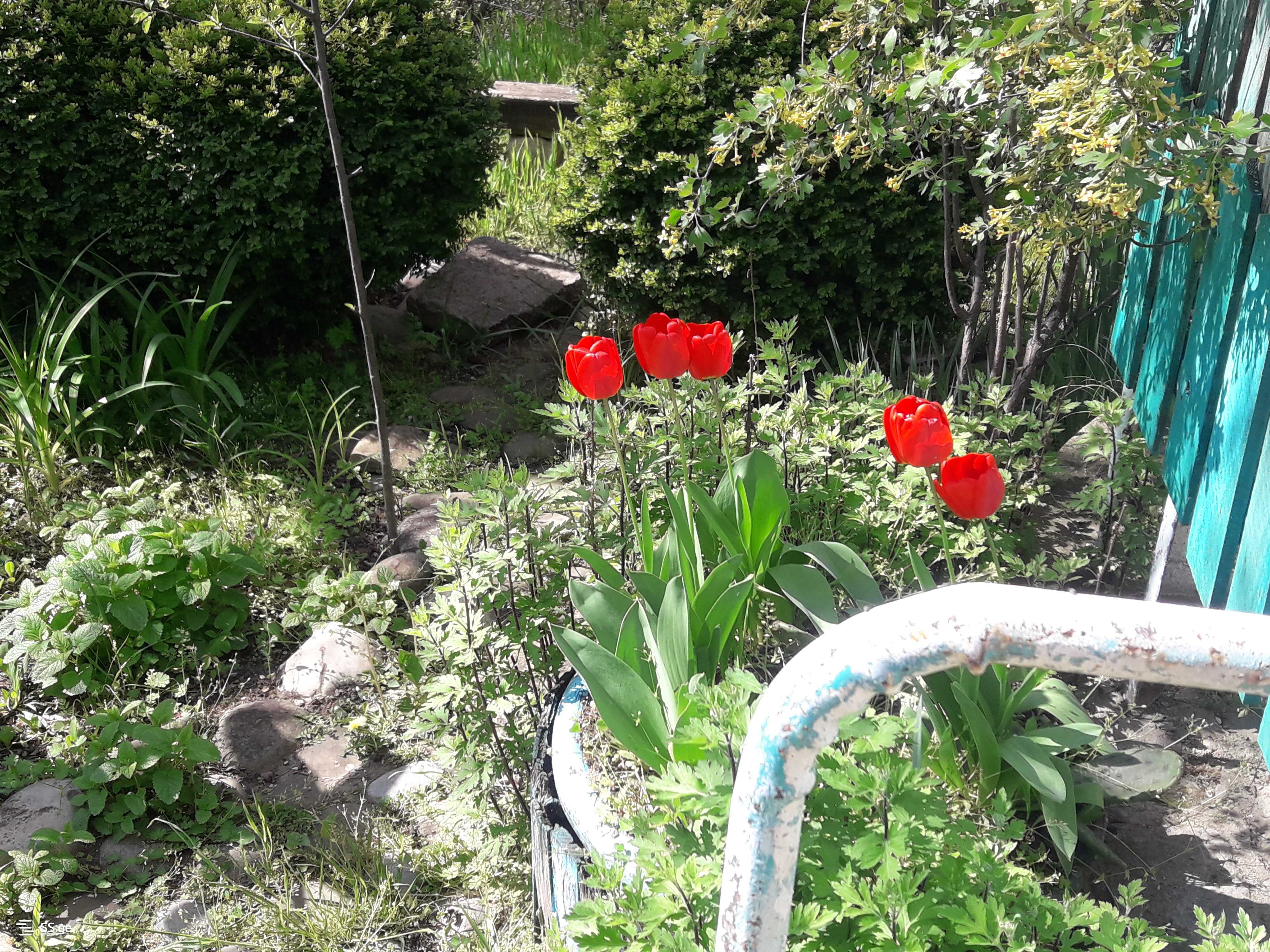 Продажа 6-комната Summer Cottage, 9 of 10