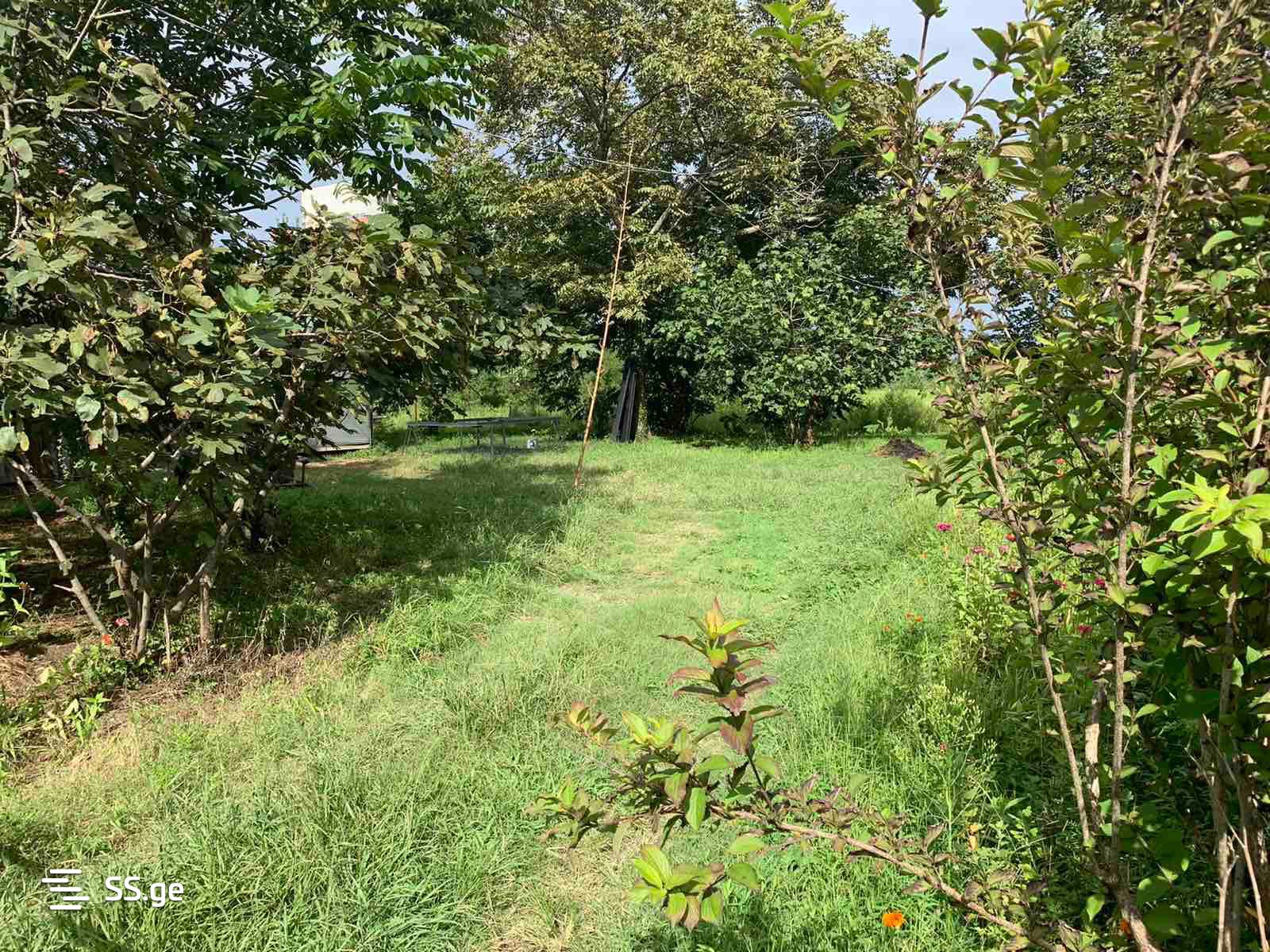 Land For Sale. Kobuleti, 4 of 4