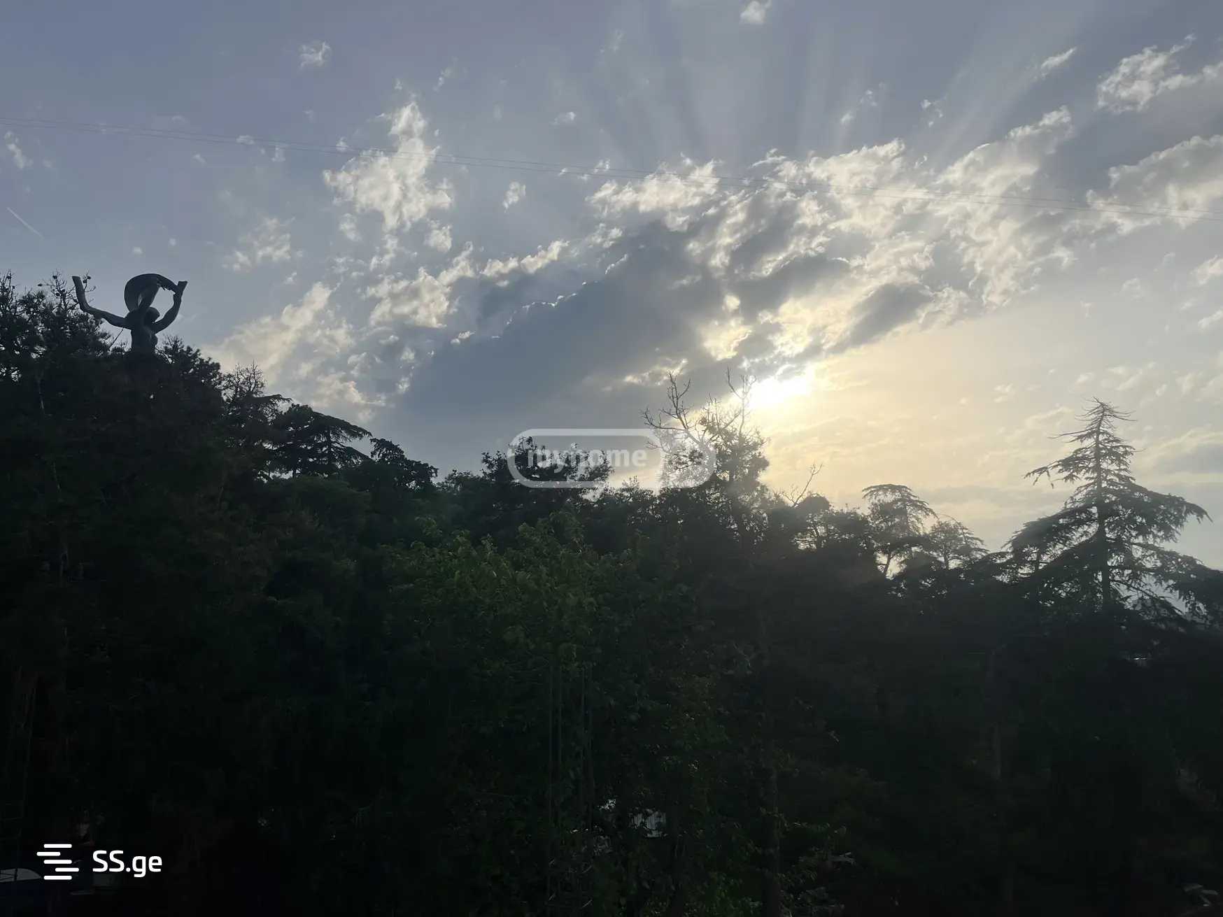 8 Room Private House For Rent. Vake view 11