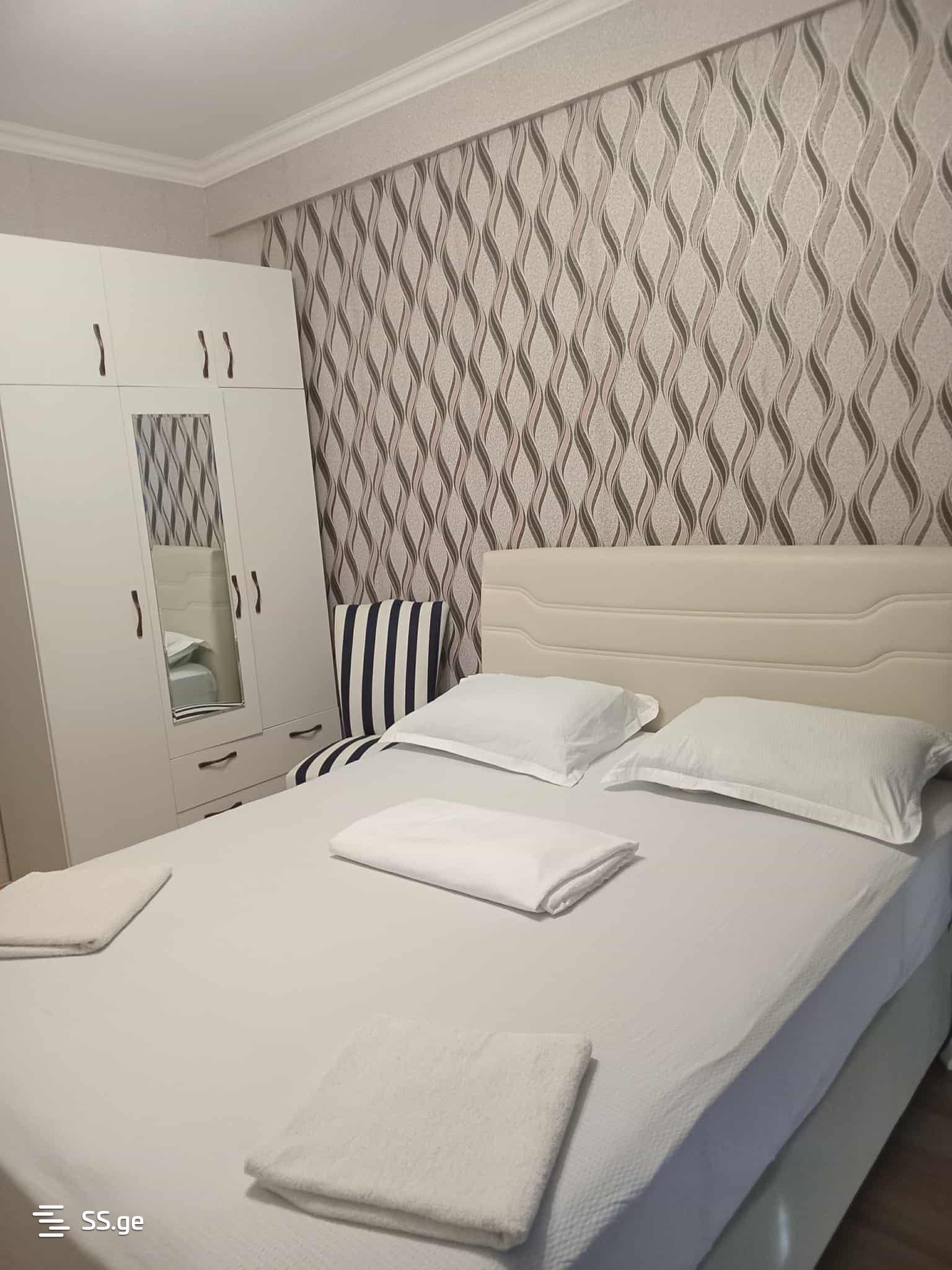 2 Room Flat Daily Rent. Varketili, 1 of 4