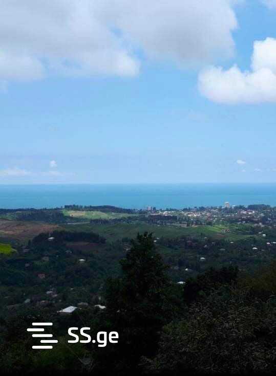 Land For Sale. Chaqvi view 5