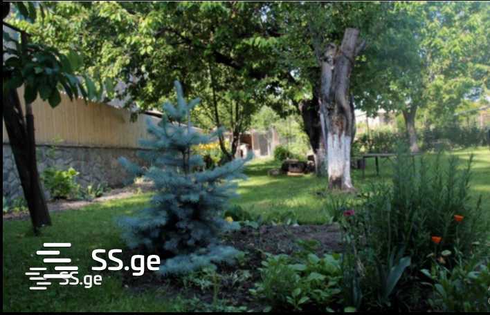 Land For Sale. Akhmeta view 1