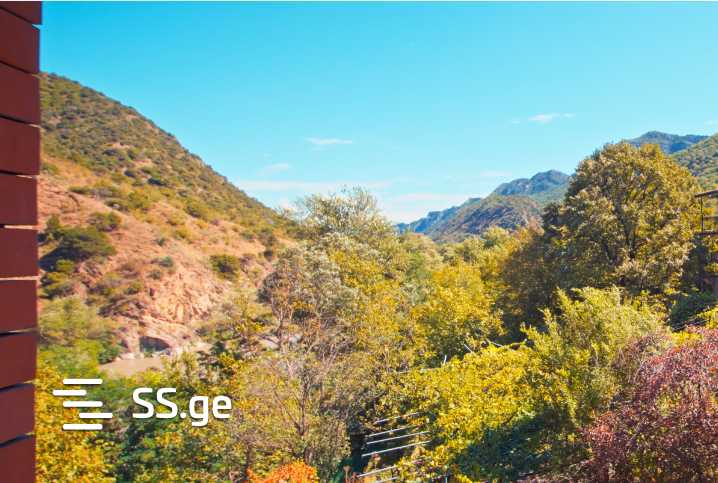 Продажа Commercial Space в Мцхета view 11