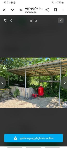 https://static.ss.ge/20250924/11_546af4a8-e4ad-4464-9cc4-f35073ac0b74_Thumb.jpg