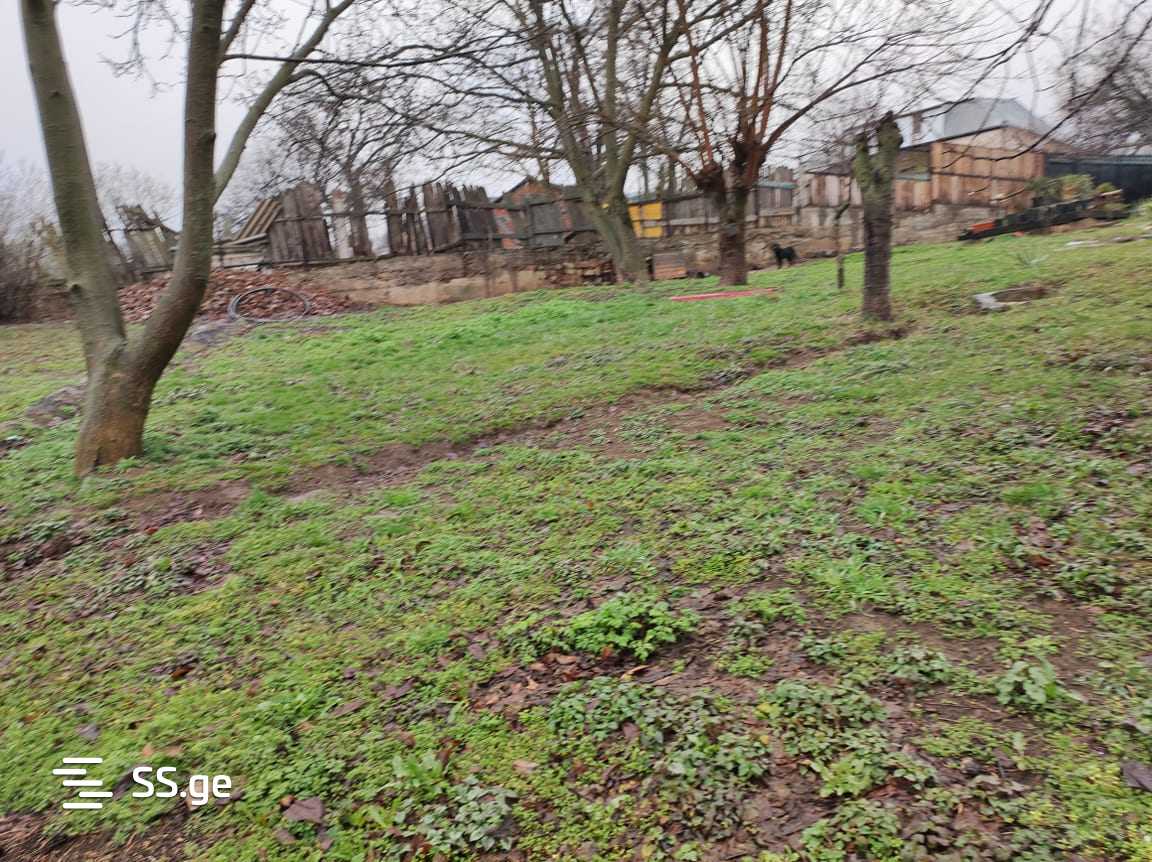 Land For Sale. Shindisi view 3