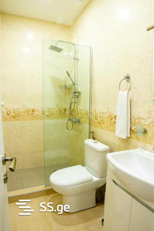 9 Room Hotel For Rent. Vake view 10