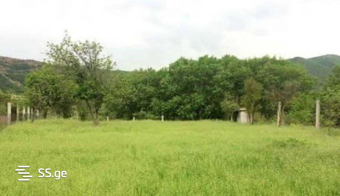 Land For Sale. Gurjaani view 1