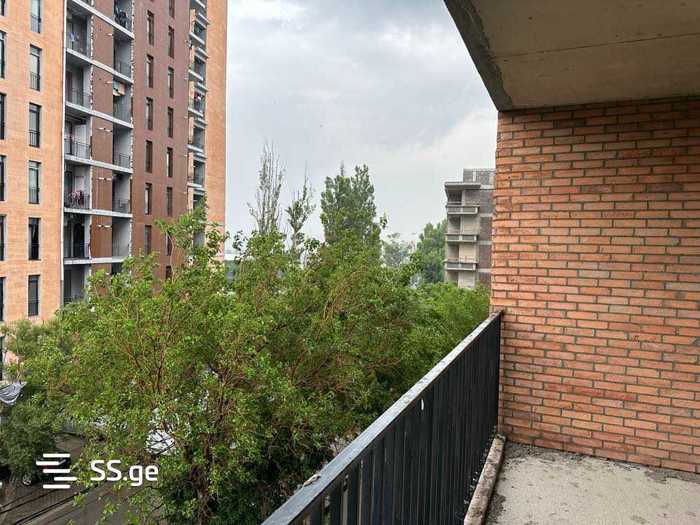 https://static.ss.ge/20250924/4_534c0a11-6422-4340-972c-6532fd1c5191_Thumb.jpg