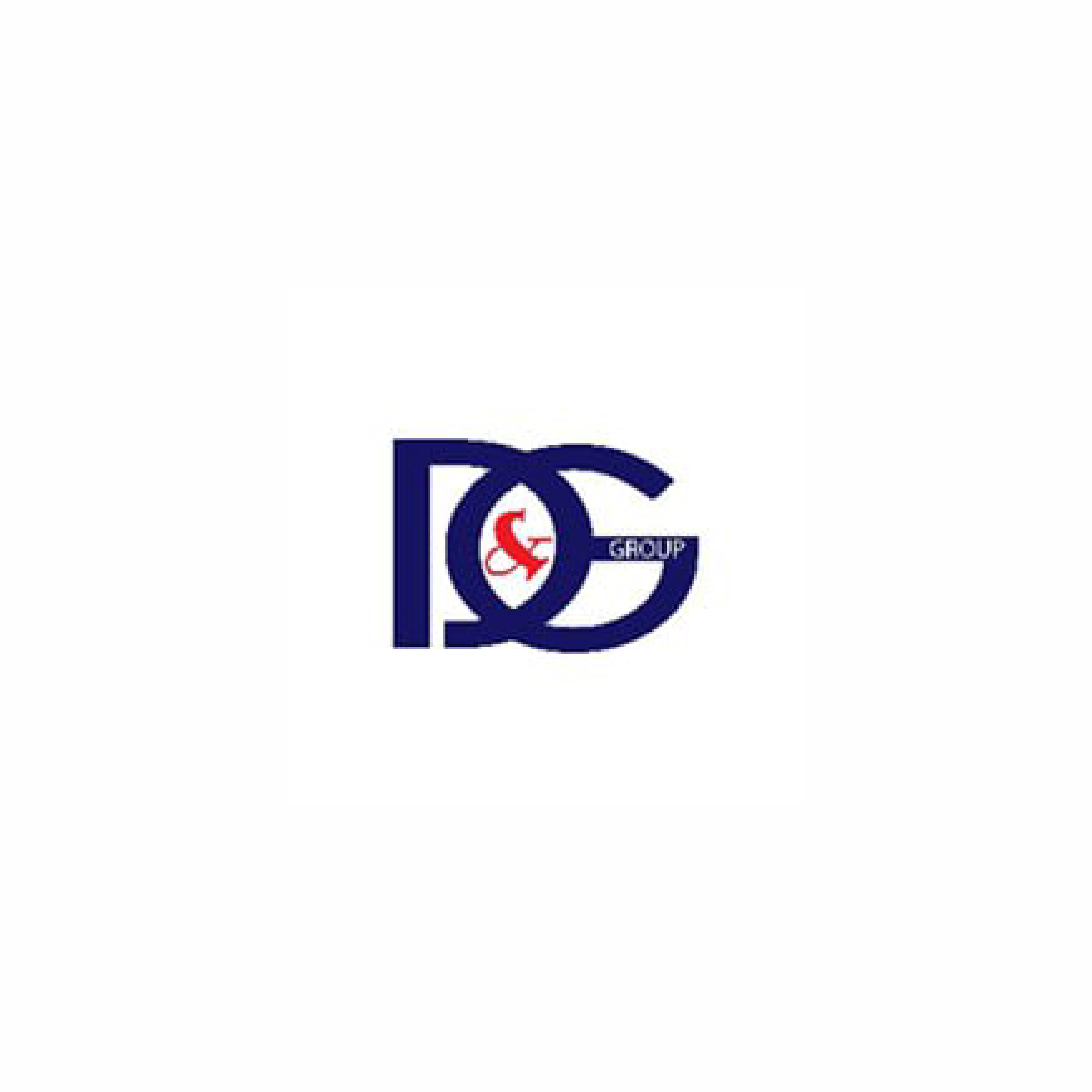 DG Holding