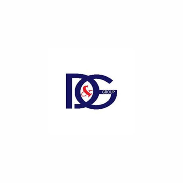 DG Holding