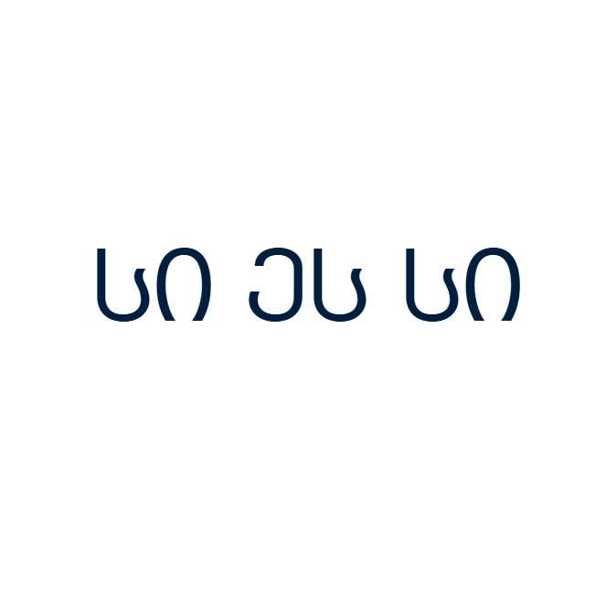 დაცვის კომპანია სი ეს სი 