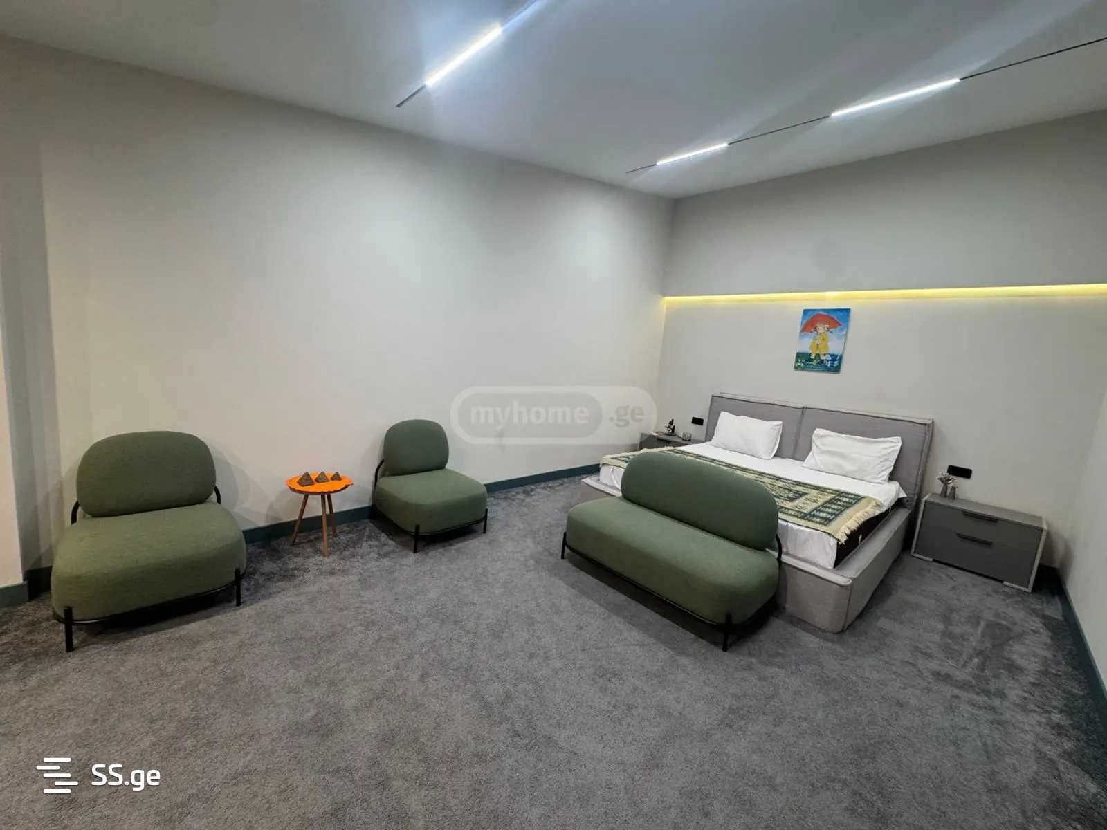Commercial Space For Rent. Avlabari, 4 of 12