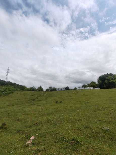 Land For Sale. Dzveli Senaki