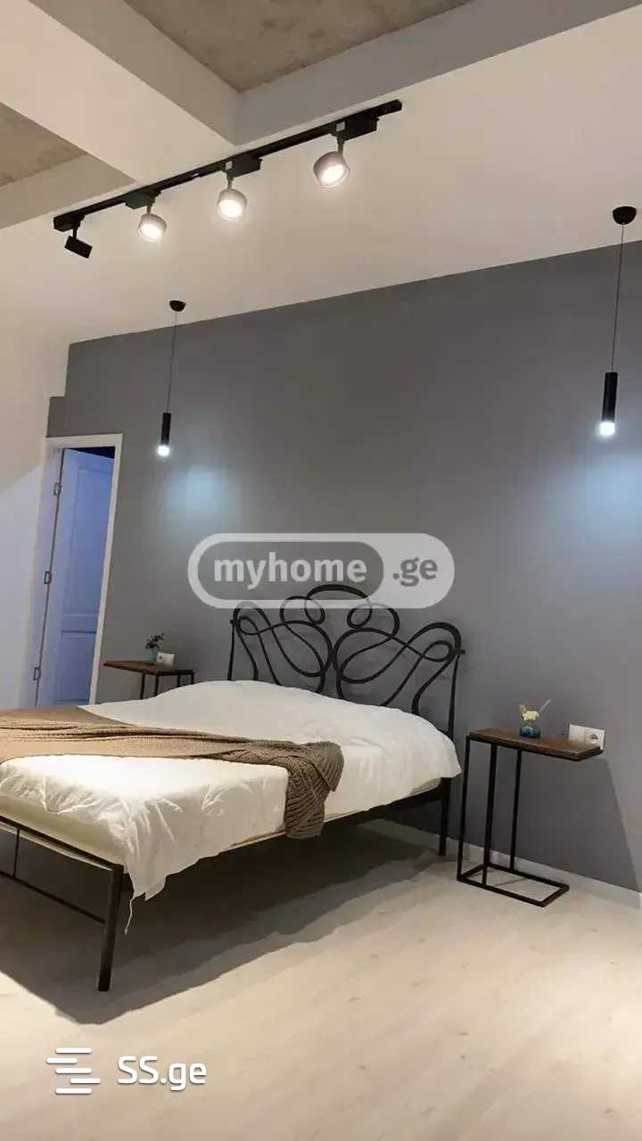 6 Room Private House For Rent. Didi Digomi view 10