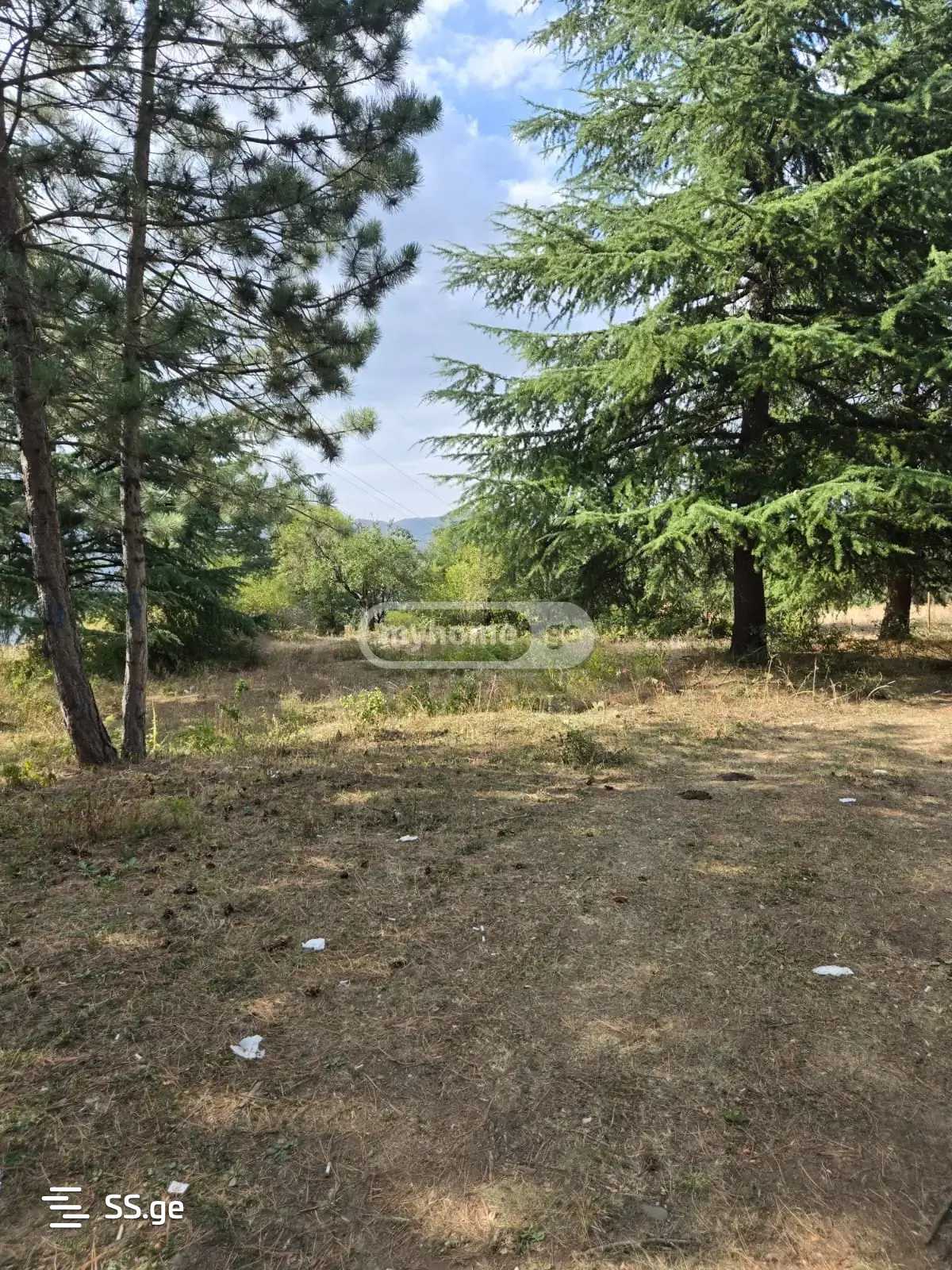 Land For Sale. Tskneti view 1