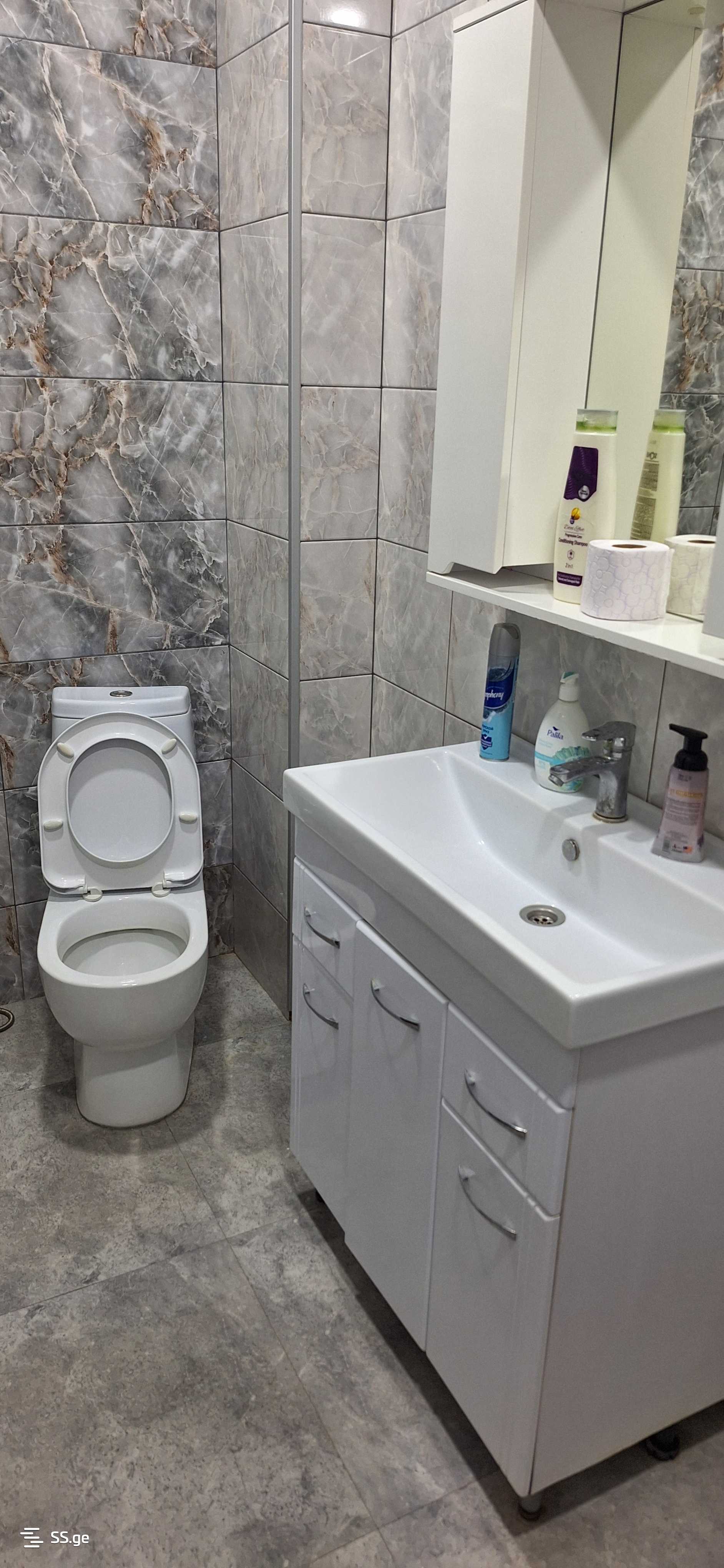 4 Room Flat Daily Rent. Rustavi view 7