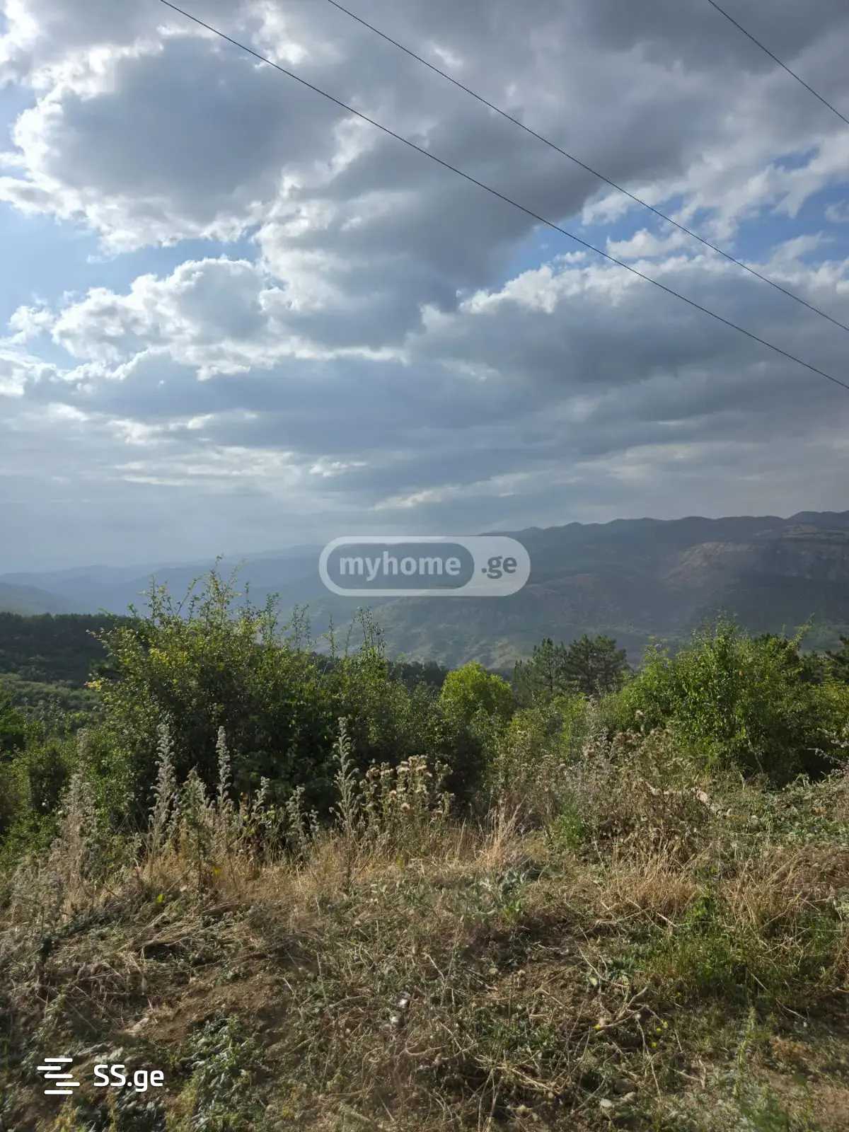 Land For Sale. Tskneti view 3