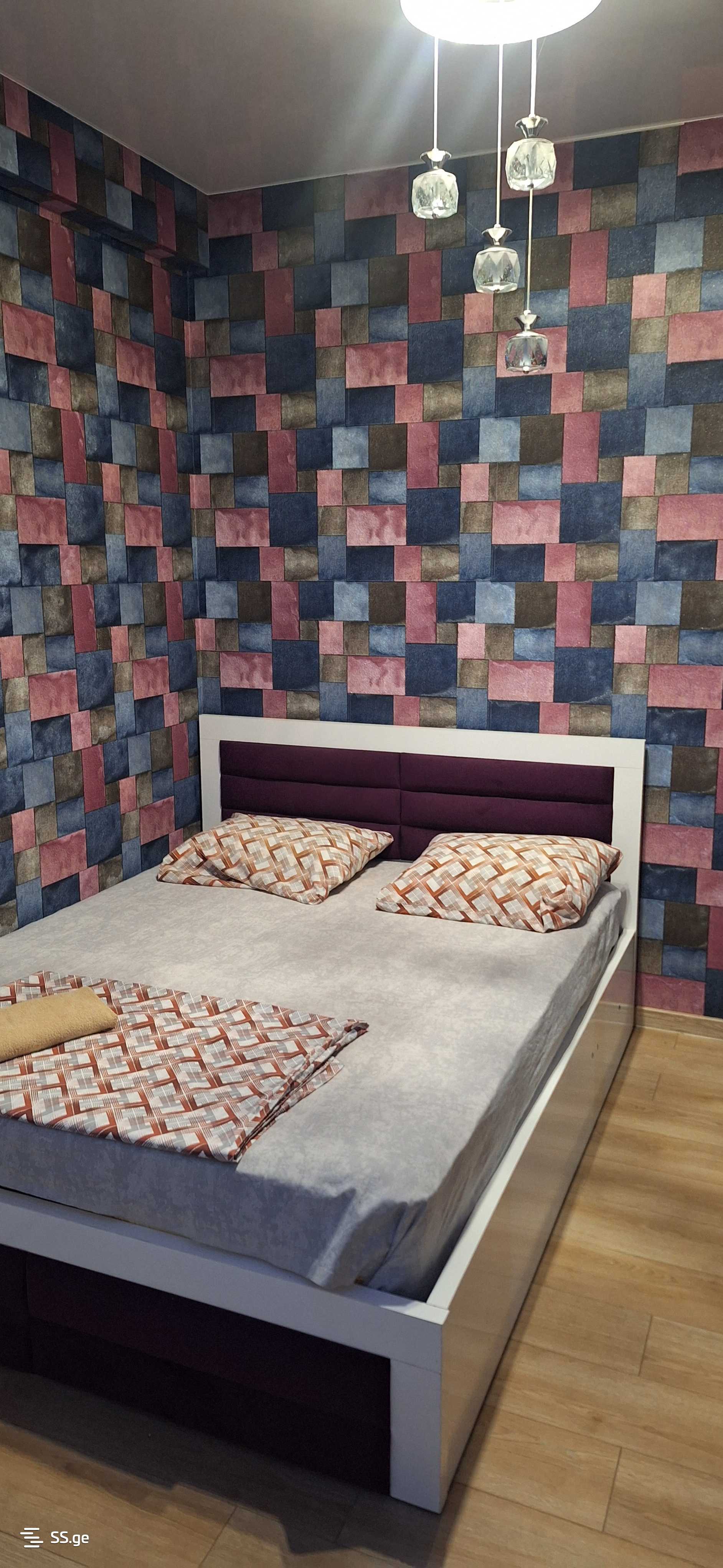 4 Room Flat Daily Rent. Rustavi view 8