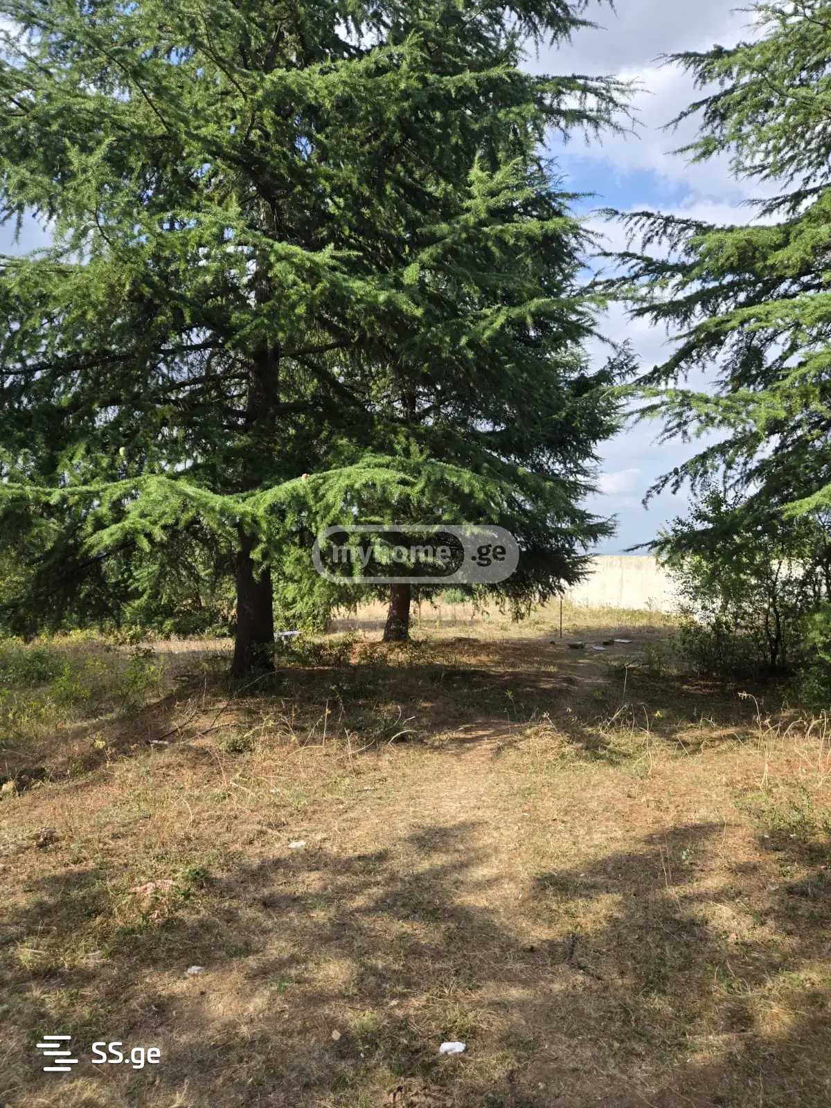 Land For Sale. Tskneti view 4