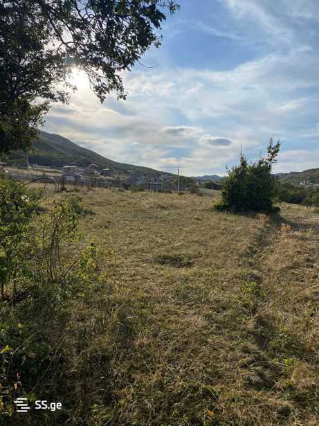 https://static.ss.ge/20250929/4_23a59c9e-ab52-414c-8ac4-c767c8f1a215_Thumb.jpg