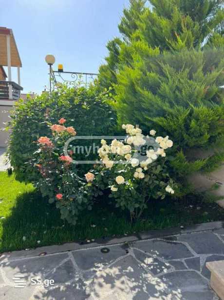 https://static.ss.ge/20250929/8_65903cf0-4c2a-4182-9129-1776c93d31ba_Thumb.jpg