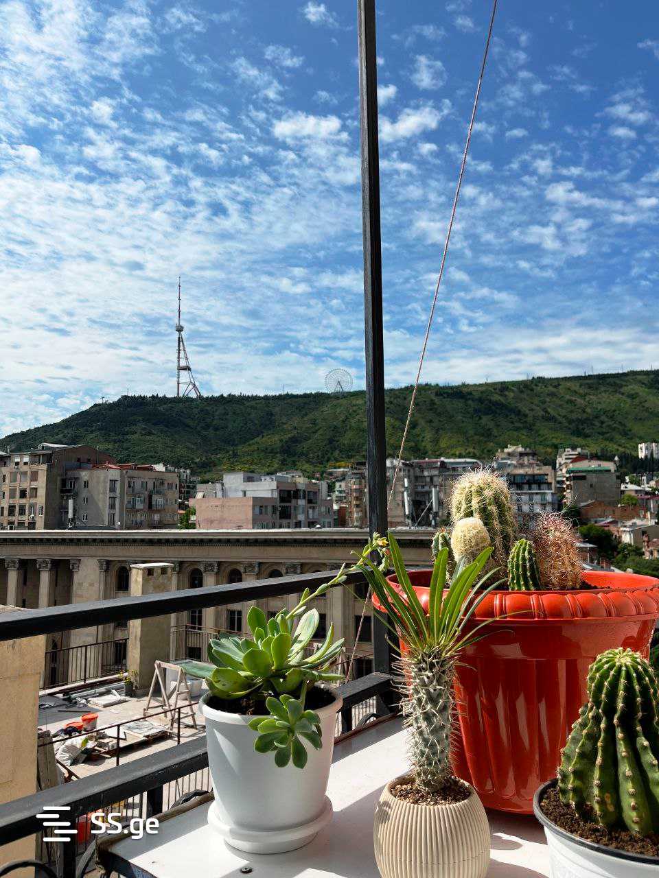 1 Room Flat Daily Rent. Vera view 1