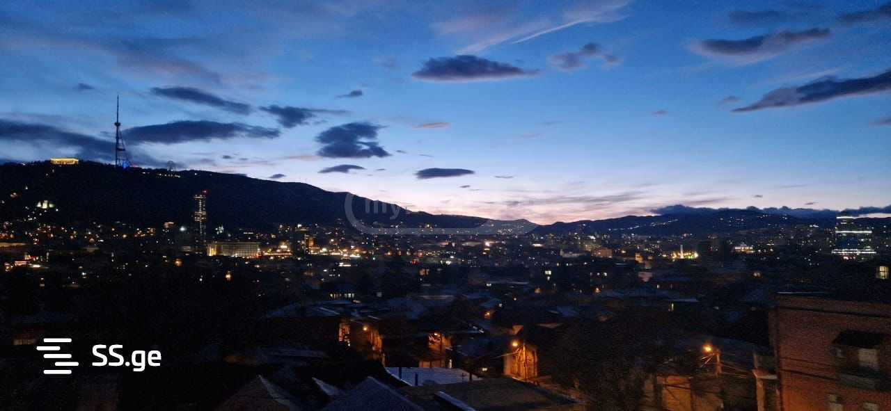 7 Room Private House For Rent. Chugureti view 9
