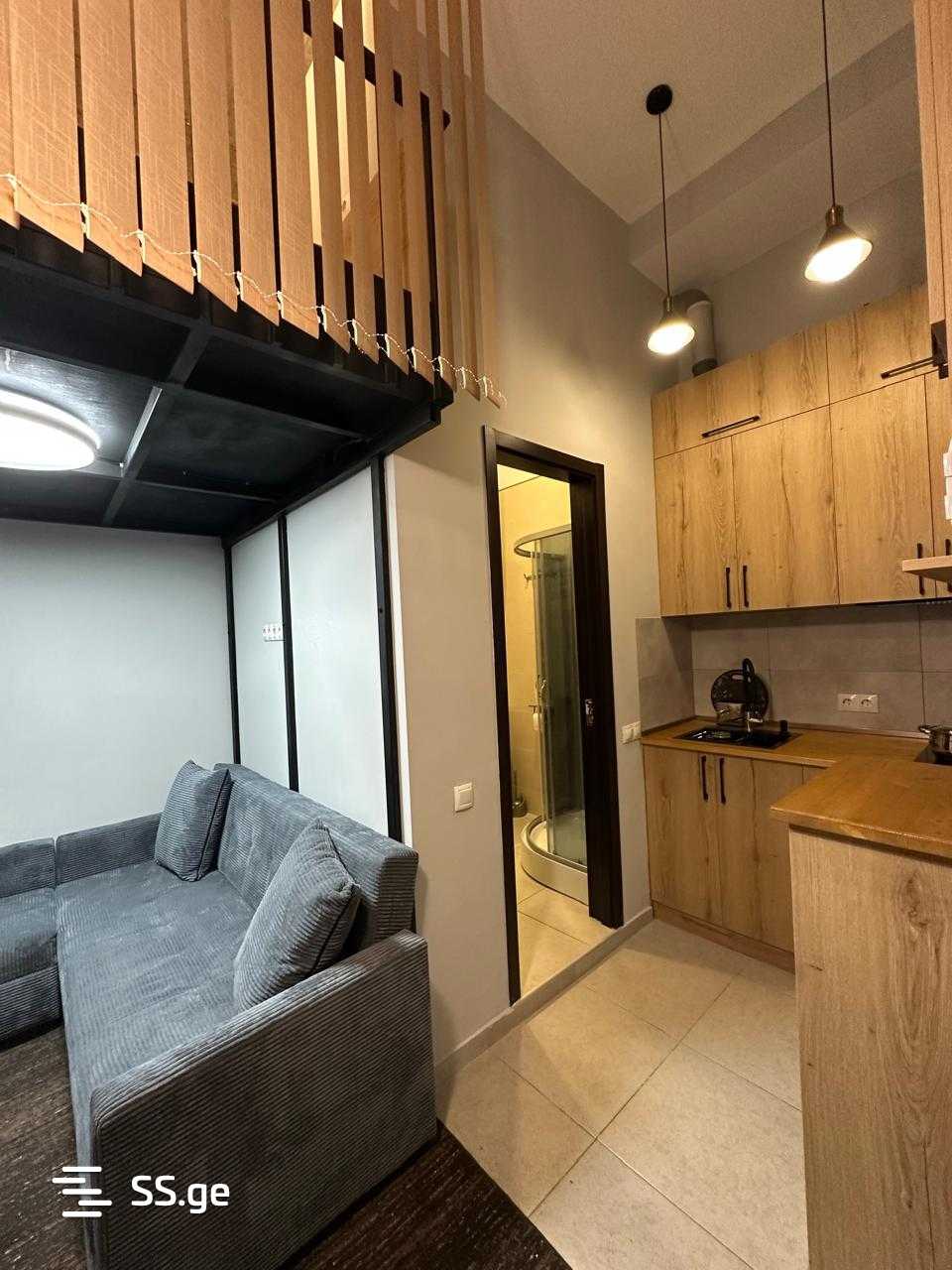 2 Room Flat For Rent. Mtatsminda, 1 of 12