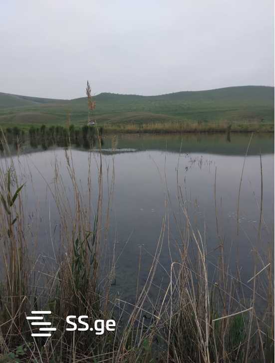 Land For Sale. Signagi view 11