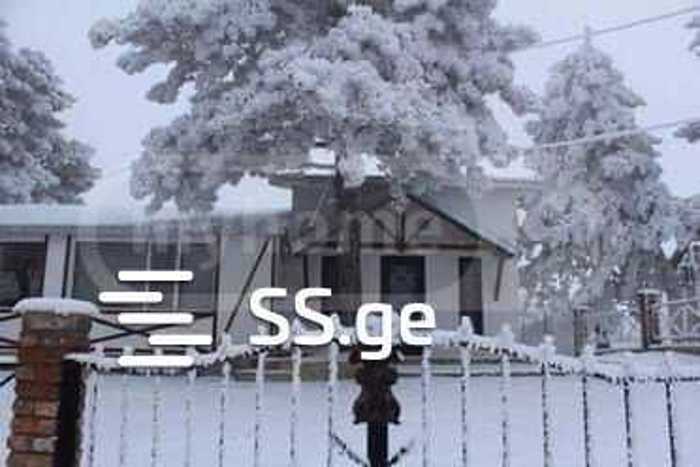https://static.ss.ge/20251002/18_d49010cf-83f4-4ac8-949c-89b79567d460_Thumb.jpg