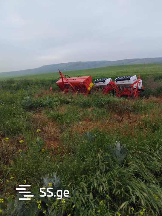 Land For Sale. Signagi view 10