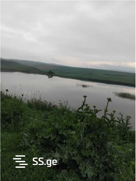 Land For Sale. Signagi view 7