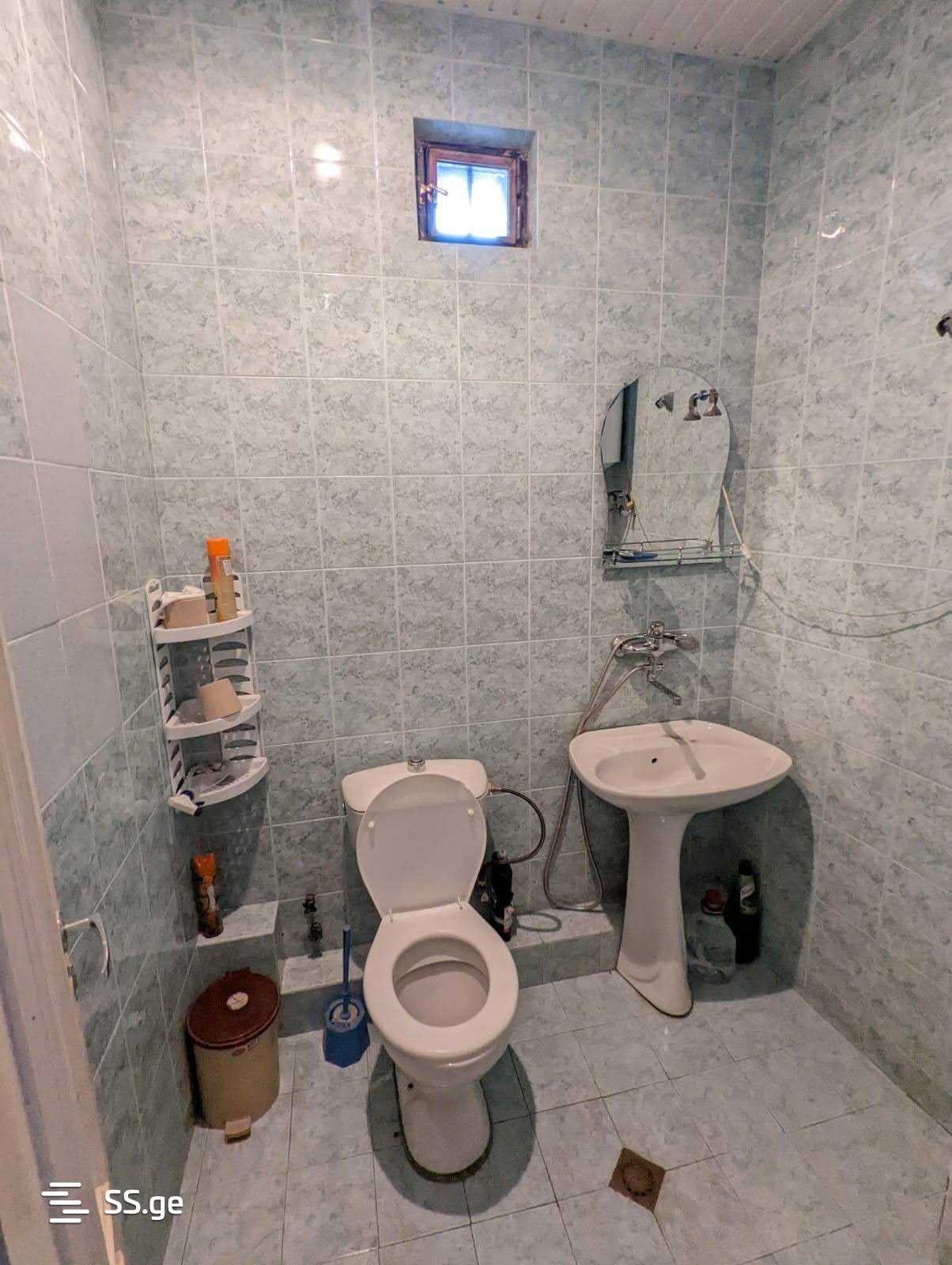 6 Room Summer Cottage For Rent. Tabakhmela view 9