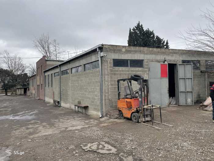 https://static.ss.ge/20251006/13_9d3d4ada-f5b0-49b4-bee0-476f9b57aada_Thumb.jpg