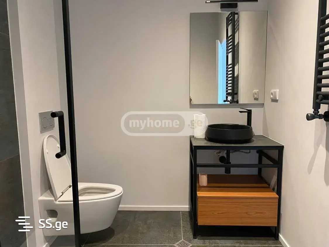 7 Room Private House For Rent. Chugureti view 9