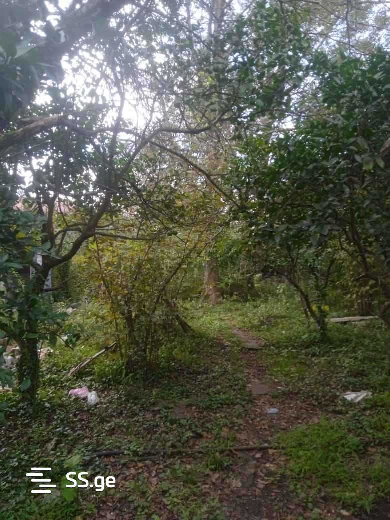 Private House For Sale. Poti view 8