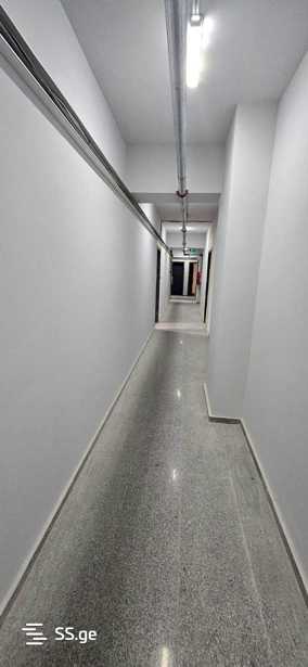 https://static.ss.ge/20251007/11_063b271b-3de5-4aff-a577-5e179905086b_Thumb.jpg