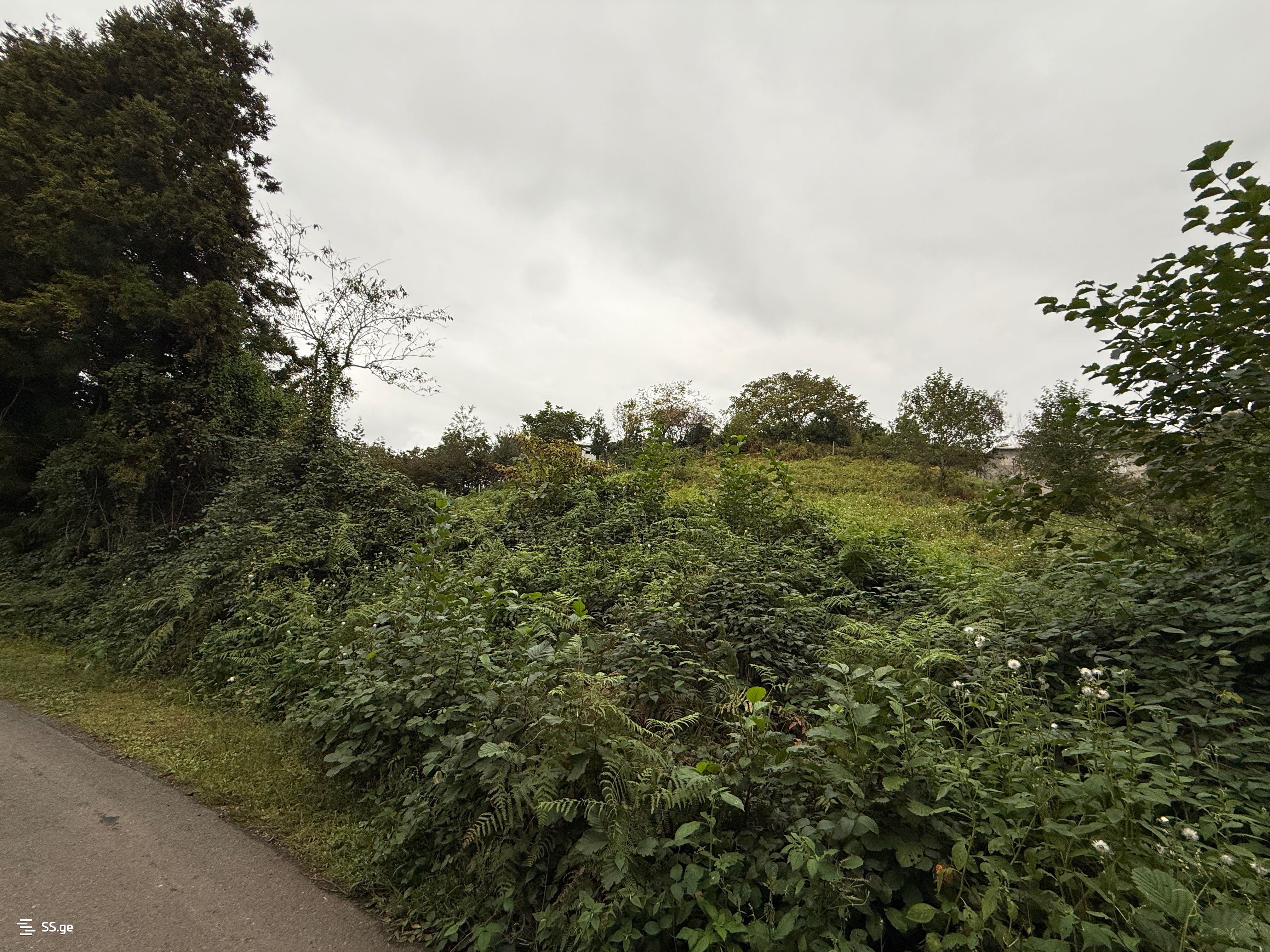 Land For Sale. Chaqvi view 7