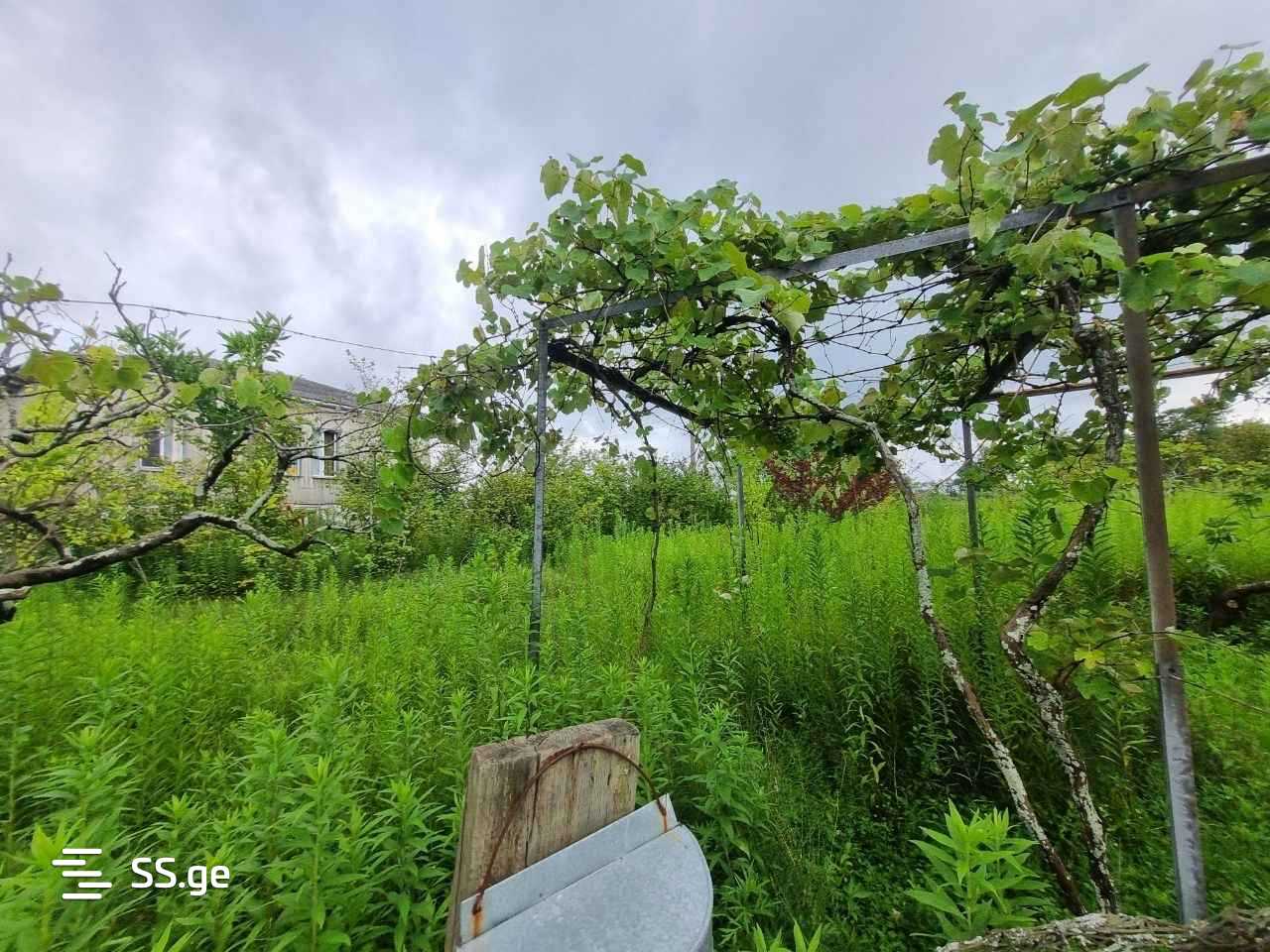 1 Room Private House For Sale view 6