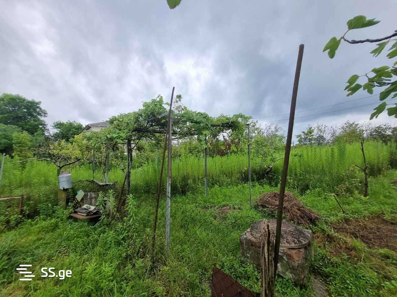 1 Room Private House For Sale view 8
