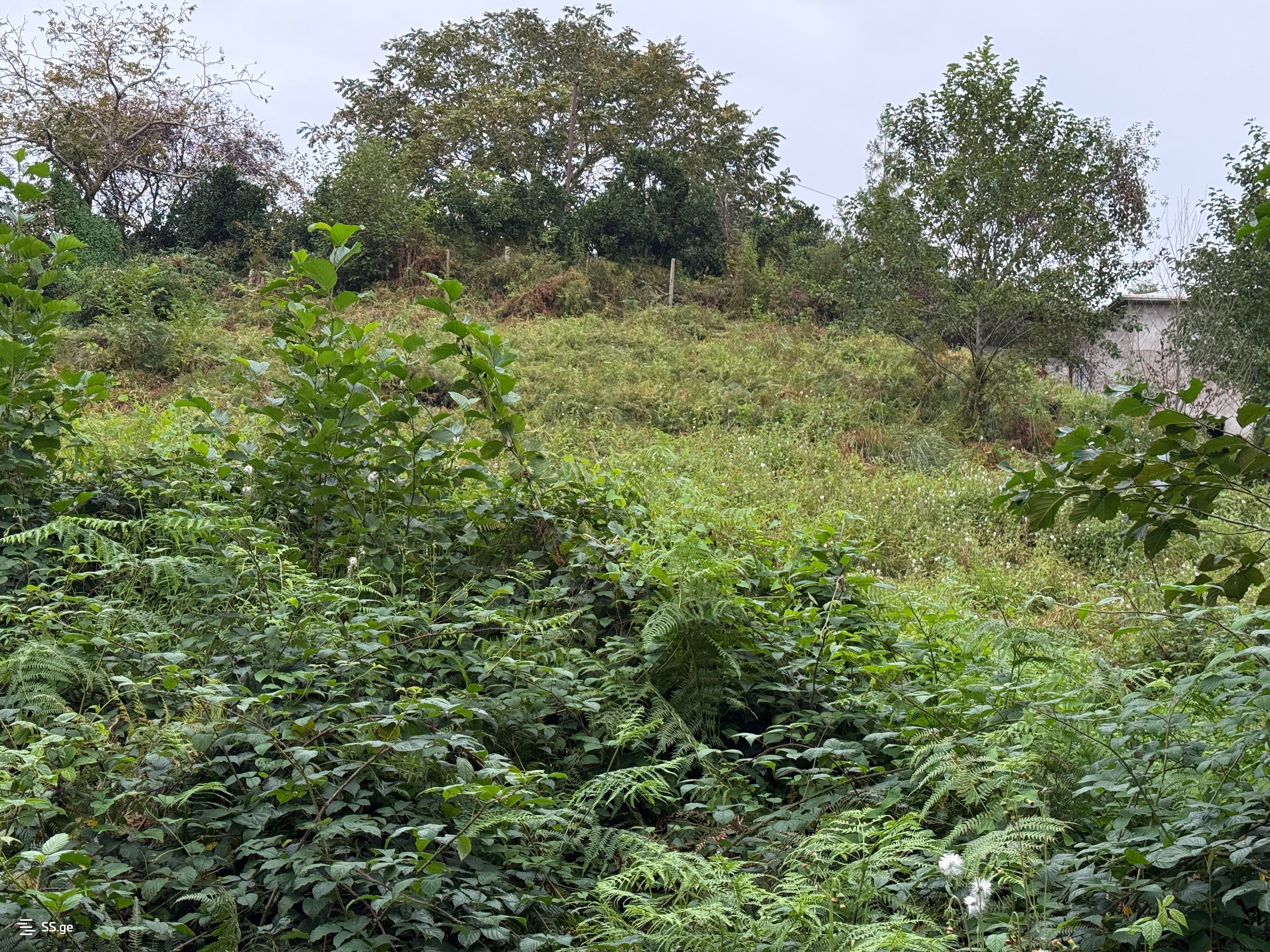 Land For Sale. Chaqvi view 9