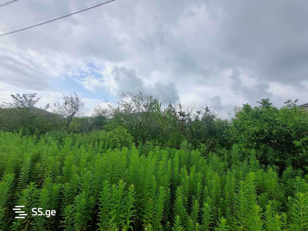 1 Room Private House For Sale view 5
