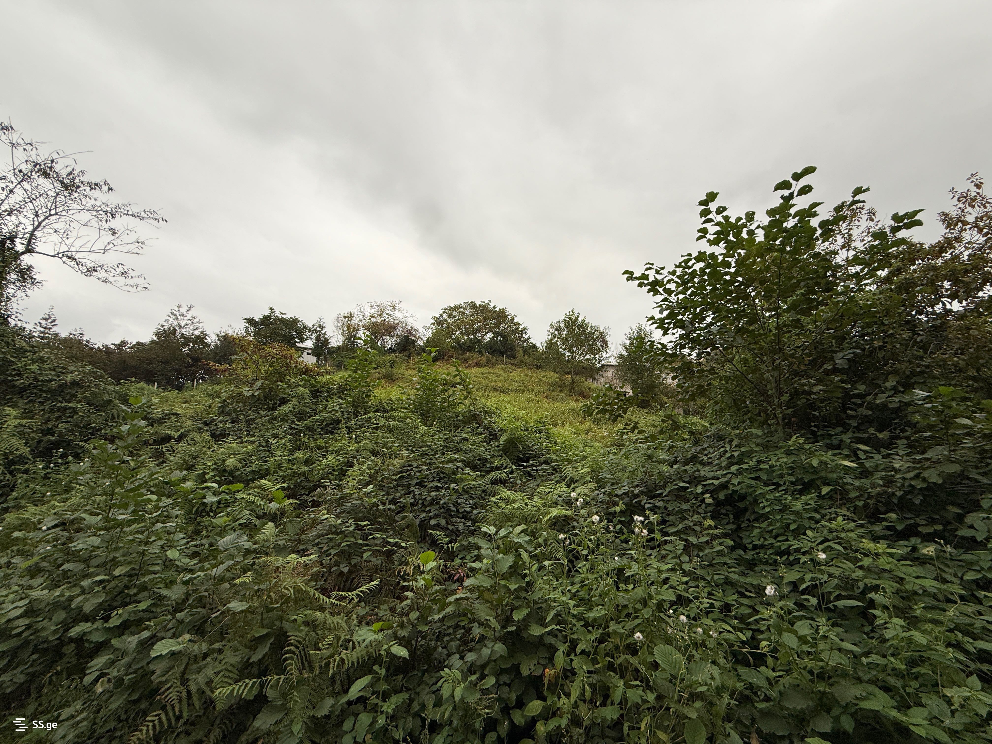 Land For Sale. Chaqvi view 6