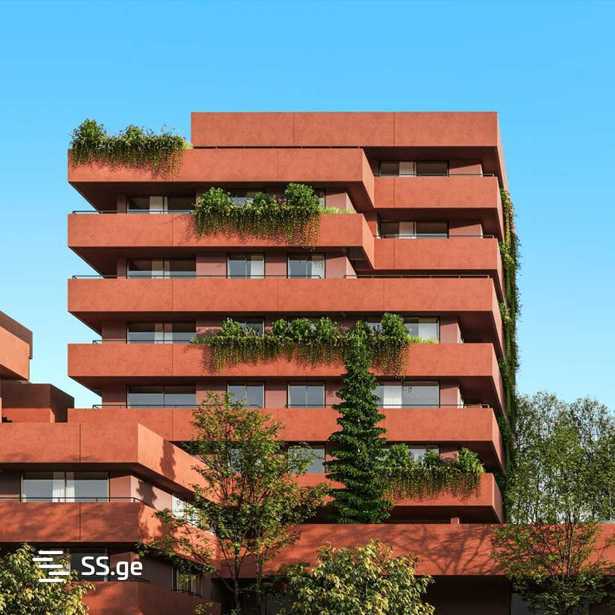 https://static.ss.ge/20251008/12_44525922-9b82-4dd4-967c-63dba9262ab6_Thumb.jpg
